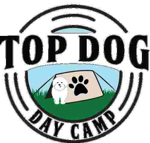 Image of Top Dog Day Camp service in Flanders, New Jersey, United States