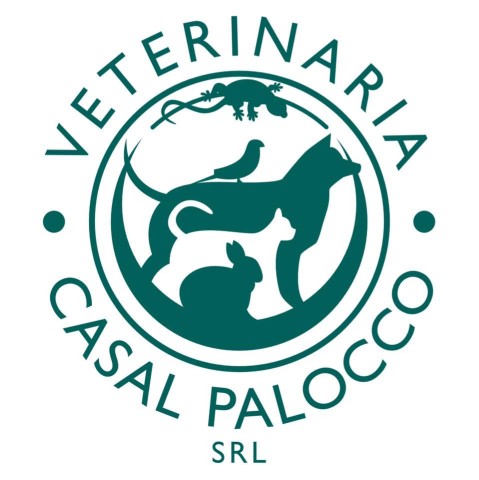 Image of Veterinaria Casalpalocco -Rome service in Acilia - Casal Palocco, Lazio, Italy Image of Veterinaria Casalpalocco -Rome service in Acilia - Casal Palocco, Lazio, Italy