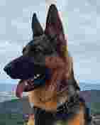 Image of Boncan service in Barcelona, Barcelona, Spain