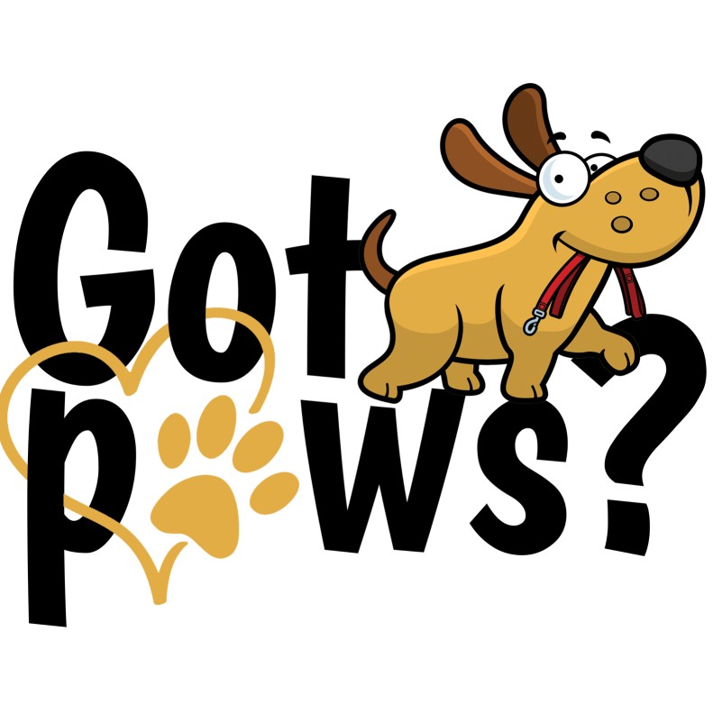Image of Got Pawz? Dog Daycare/ Boarding/ Pet Grooming service in Norfolk County, Massachusetts, United States Image of Got Pawz? Dog Daycare/ Boarding/ Pet Grooming service in Norfolk County, Massachusetts, United States