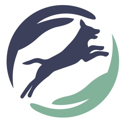 Image of TOPDOG Hundephysiotherapie service in Berlin, Berlin, Germany