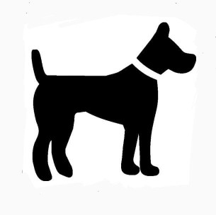 Image of Wilton's Manor Doggie Daycare, Resort & Spa service in Fort Lauderdale, Florida, United States Image of Wilton's Manor Doggie Daycare, Resort & Spa service in Fort Lauderdale, Florida, United States