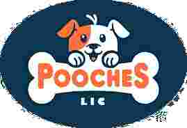 Image of Pooches LIC service in New York, New York, United States
