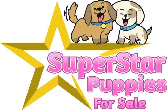 Image of SuperStar Puppies For Sale service in Fairfax, California, United States