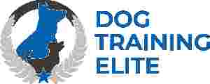 Image of Dog Training Elite Oklahoma service in Oklahoma City, Oklahoma, United States