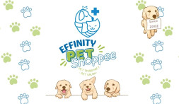 Image of Effinity Pet Shoppee - Raja Garden service in Delhi, Delhi, India