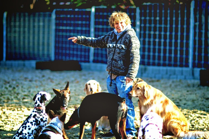 Image of Doggyhouse service in Offenbach am Main, Hessen, Germany