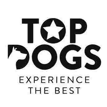 Image of Top Dogs Day Stay service in Auckland, Auckland, New Zealand