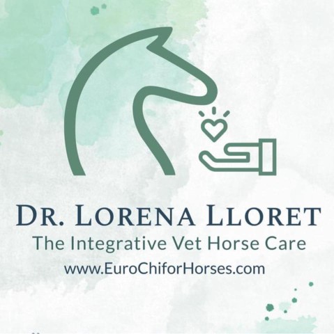 Image of The Integrative Veterinary Horse Care service in Dublin, Dublin, Ireland