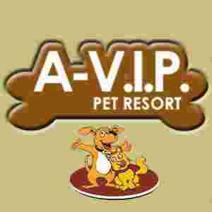 Image of A V.I.P. Pet Resort service in Las Vegas, Nevada, United States