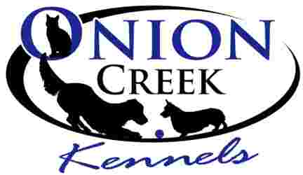 Image of Onion Creek Kennels service in Buda, Texas, United States