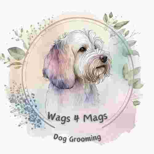 Image of Wags4Mags Dog Grooming service in Newcastle upon Tyne, England, United Kingdom Image of Wags4Mags Dog Grooming service in Newcastle upon Tyne, England, United Kingdom