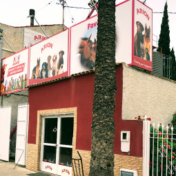 Image of Piensos Y Cereales Antonio Olmos/nanta-Pavo-Arion service in San Benito - Patiño, Región de Murcia, Spain