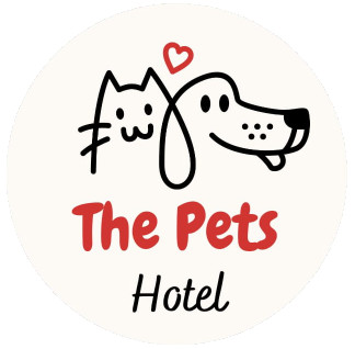 Image of The pets hotel gurugram service in Pawala Khasrupur, Haryana, India