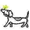 Image of Elevate: Pet Boutique service in Oklahoma City, Oklahoma, United States Image of Elevate: Pet Boutique service in Oklahoma City, Oklahoma, United States
