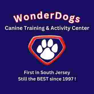Image of Wonderdogs Canine Training Center service in Berlin Township, New Jersey, United States
