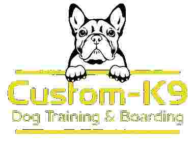Image of Custom-K9 Dog Training & Boarding service in South San Francisco, California, United States