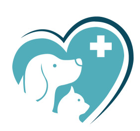 Image of Leeds Veterinary Centre service in Leeds, England, United Kingdom