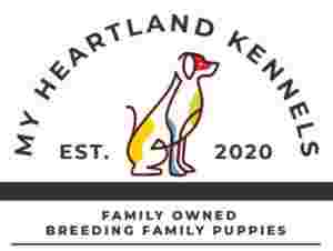 Image of My Heartland Kennels service in Lascassas, Tennessee, United States Image of My Heartland Kennels service in Lascassas, Tennessee, United States