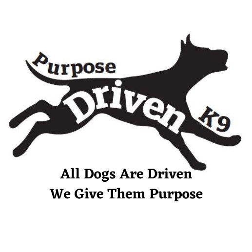 Image of Purpose Driven K9 Dog Training - Indianapolis service in Indianapolis, Indiana, United States