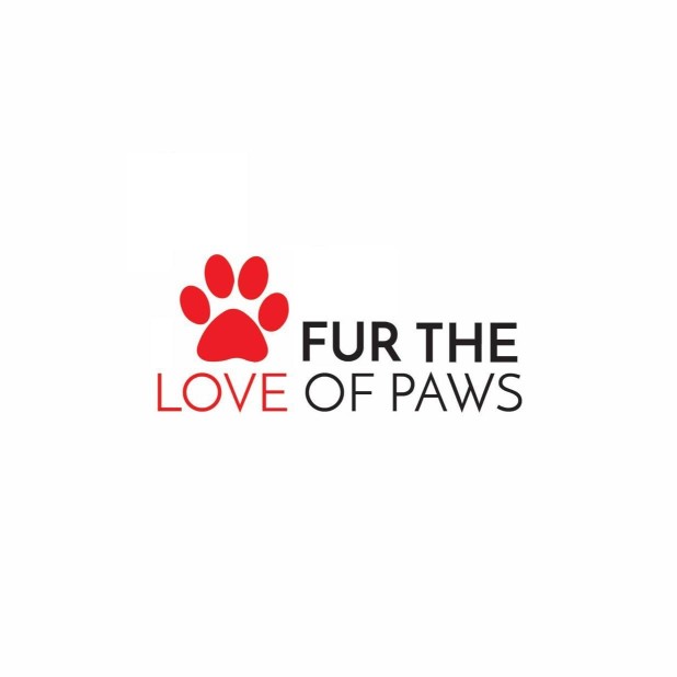 Image of FUR the love of paws service in City of Edinburgh, Scotland, United Kingdom Image of FUR the love of paws service in City of Edinburgh, Scotland, United Kingdom