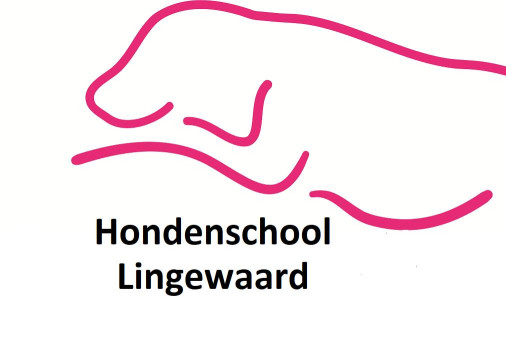 Image of Hondenschool Lingewaard service in Ressen, Gelderland, Netherlands Image of Hondenschool Lingewaard service in Ressen, Gelderland, Netherlands