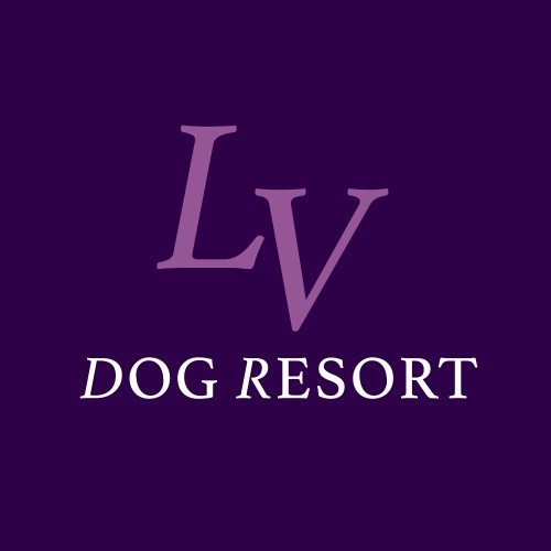 Image of LV (Las Vegas) Dog Resort service in Las Vegas, Nevada, United States