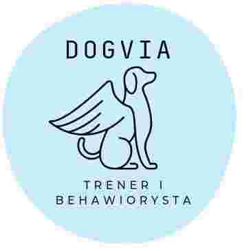 Image of Dogvia service in Poznan, Wielkopolskie, Poland
