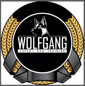 Image of Wolfgang Expert Dog Training service in Gardena, California, United States Image of Wolfgang Expert Dog Training service in Gardena, California, United States