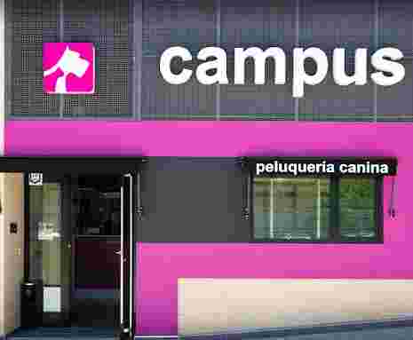 Image of Clínica Veterinaria Campus service in Granada, Granada, Spain