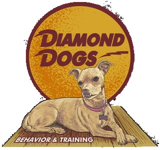 Image of Diamond Dogs Private Training & Behavior Consultation service in Portland, Connecticut, United States