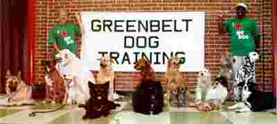 Image of Greenbelt Dog Training service in Greenbelt, Maryland, United States Image of Greenbelt Dog Training service in Greenbelt, Maryland, United States