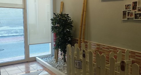 Image of Peluquería Canina Mónica service in Torrevieja, Alacant, Spain