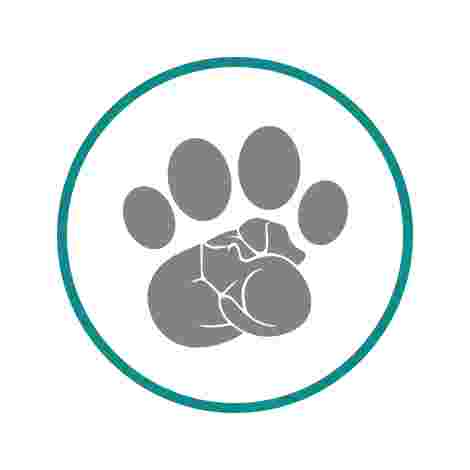 Image of Woof & Whiskers Resort service in Kissimmee, Florida, United States Image of Woof & Whiskers Resort service in Kissimmee, Florida, United States