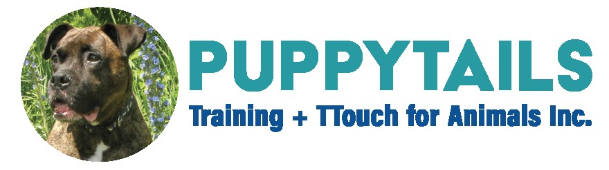 Image of PuppyTails Training & TTouch for Animals inc service in Orangeville, Ontario, Canada Image of PuppyTails Training & TTouch for Animals inc service in Orangeville, Ontario, Canada