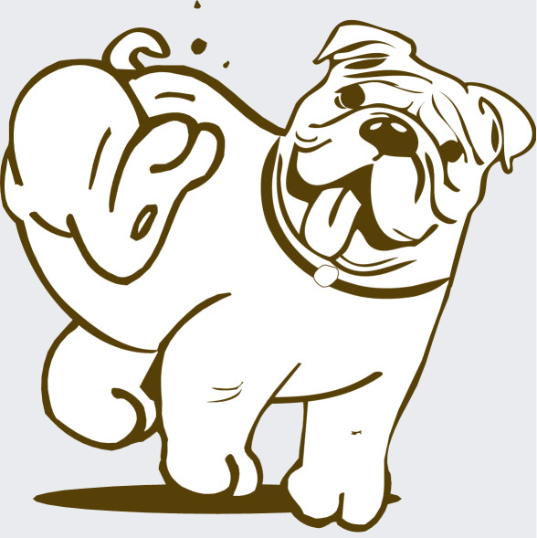 Image of Nashville Veterinary Dermatology service in Nashville, Indiana, United States