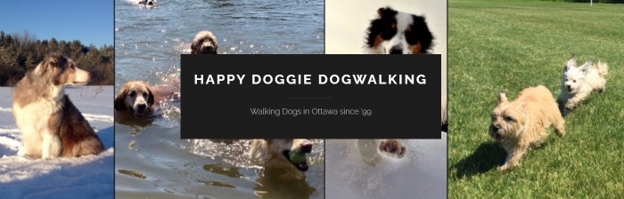 Image of Happy Doggie Dog Walking service in Ottawa, Ontario, Canada