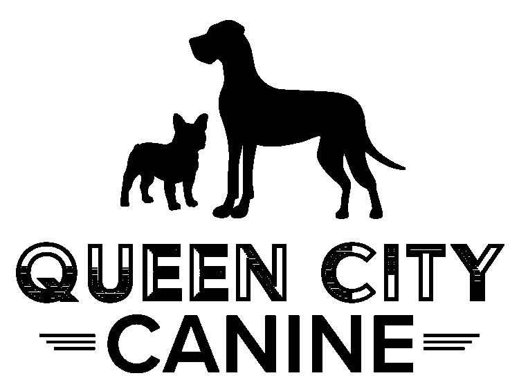 Image of Queen City Canine service in Buffalo, Wyoming, United States Image of Queen City Canine service in Buffalo, Wyoming, United States
