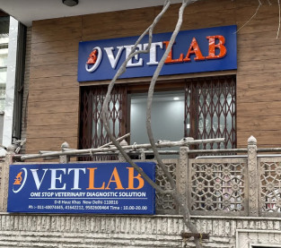 Image of VETLAB service in Delhi, Delhi, India Image of VETLAB service in Delhi, Delhi, India