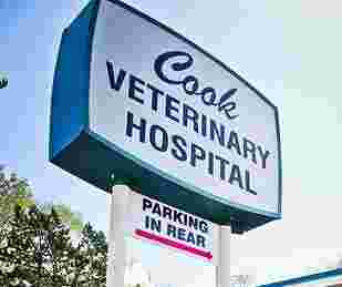 Image of Cook Veterinary Hospital service in Colorado Springs, Colorado, United States