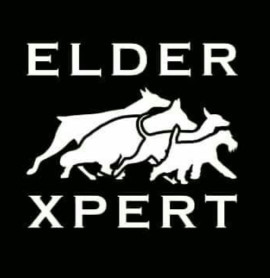 Image of Elderxpert service in León de los Aldama, Guanajuato, Mexico