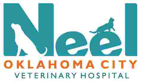 Image of Neel Veterinary Hospital service in Oklahoma City, Oklahoma, United States Image of Neel Veterinary Hospital service in Oklahoma City, Oklahoma, United States