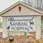 Image of Bluemound Animal Hospital service in Brookfield, Illinois, United States