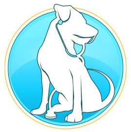 Image of Integral Veterinary Center service in León de los Aldama, Guanajuato, Mexico