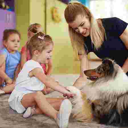 Image of Petco Dog Training-Sloat Blvd, San Francisco service in San Francisco, California, United States
