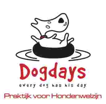Image of Anouk Covents - Gedragstherapeut voor honden service in Antwerpen, Antwerpen, Belgium