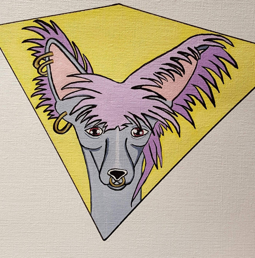 Image of Diamond Dogs Grooming service in Baltimore, Maryland, United States