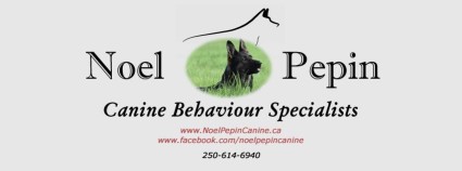 Image of Noel Pepin Canine Dog Behaviour Specialist service in Fraser-Fort George, British Columbia, Canada