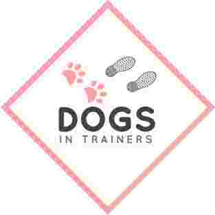 Image of Dogs In Trainers service in Stockton-on-Tees, Cleveland, United Kingdom