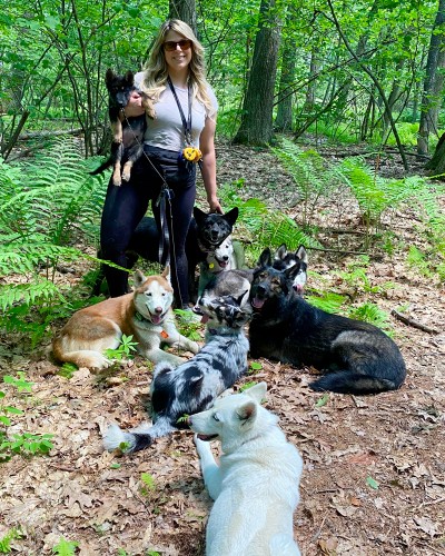 Image of K9 Kompanion Training service in Middlesex County, Massachusetts, United States Image of K9 Kompanion Training service in Middlesex County, Massachusetts, United States